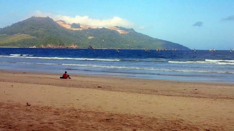 Deretan Pohon Selamatkan Penonton Wayang Kulit