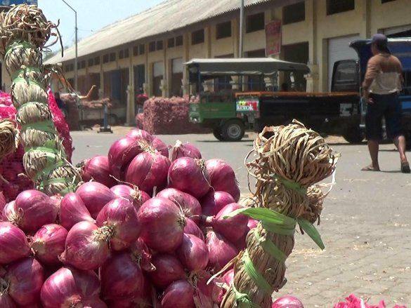 Harga Bawang Merah Probolinggo Anjlok