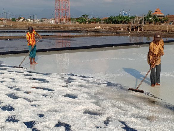 Petani Garam Probolinggo Tolak Impor Garam Saat Panen Raya