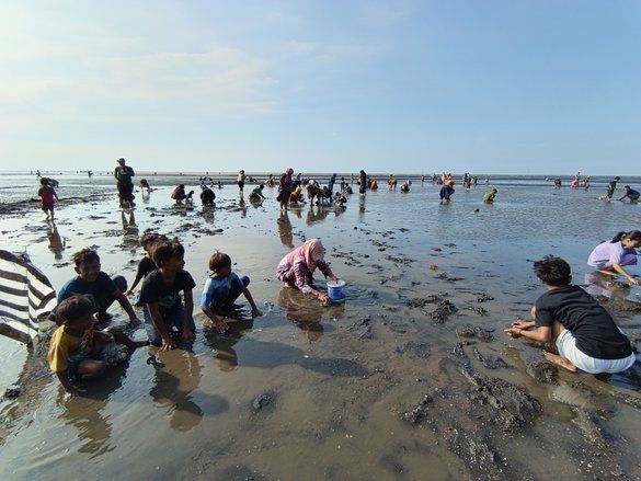 Festival Rangkarang, Lomba Mencari Kerang Warga Randutatah Probolinggo Peringati Kemerdekaan RI