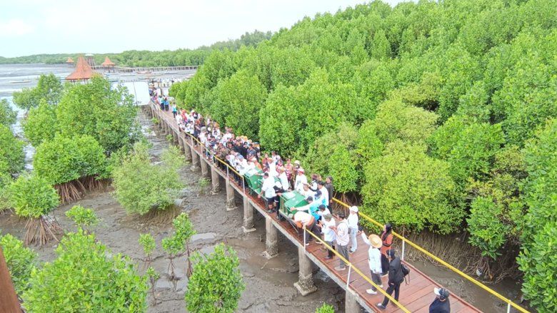 Pelepasliaran Burung Ibis dan Pecuk Padi Hitam Warnai Festival Mangrove di Probolinggo
