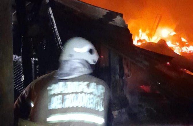 Kandang di Jatirejo Mojokerto Ludes, 30 Ribu Ekor Ayam Terbakar