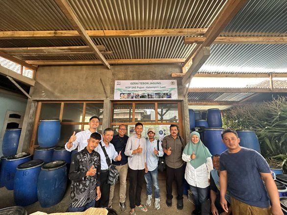 Produksi Pakan Ternak Sapi Perah di Probolinggo Terdampak Kebijakan Trump