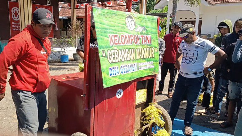 Meriahkan HUT Kemerdekaan, Petani Probolinggo Lestarikan Tradisi lewat Lomba Rajang Tembakau
 