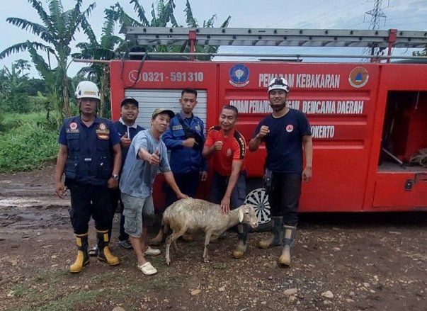 Kambing Warga Tercebur ke Lubang Sumur, Damkar Mojokerto Bertindak