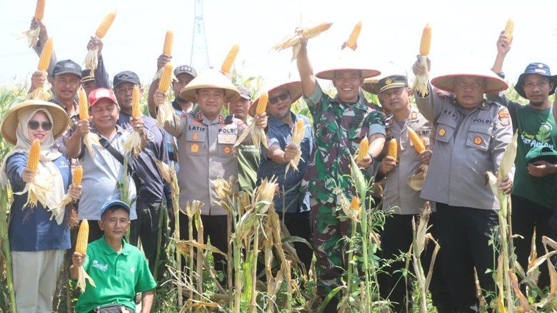 Dukung Swasembada Pangan, Polres Probolinggo dan Petani Panen Raya Jagung