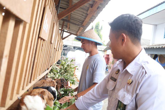 Lapas Mojokerto Kembangkan Program Ternak Kambing bagi WBP