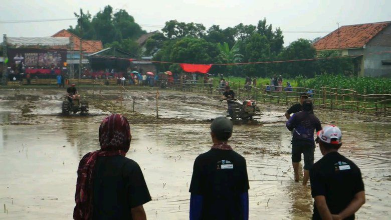 Serunya Karapan Sapeh Jepang di Probolinggo