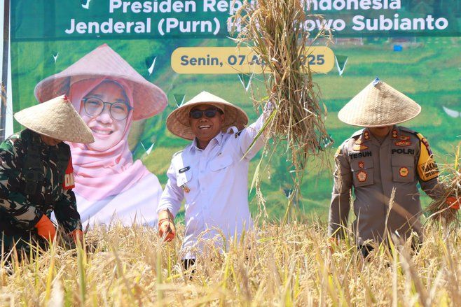 Panen Padi Serentak, Banyuwangi Klaim Produktivitas Melebihi Target