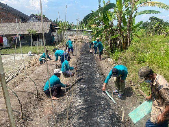 Petani Lamongan Dilatih Memproduksi Bibit Tembakau untuk Efisiensi Biaya