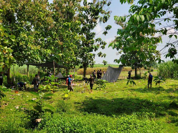 Teliti Struktur Diduga Pagar, BPK Jatim Ekskavasi Lahan Dekat Candi Brahu di Trowulan&nbsp;