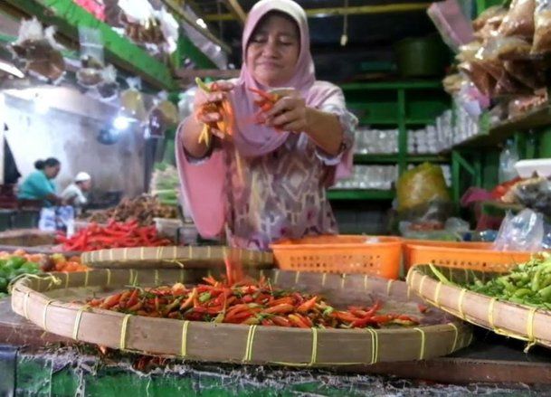 Pasokan Melimpah, Harga Cabai Anjlok Segini