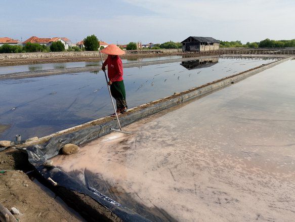 Impor Dibatasi, Harga Garam Lokal Melonjak Untungkan Petani 
