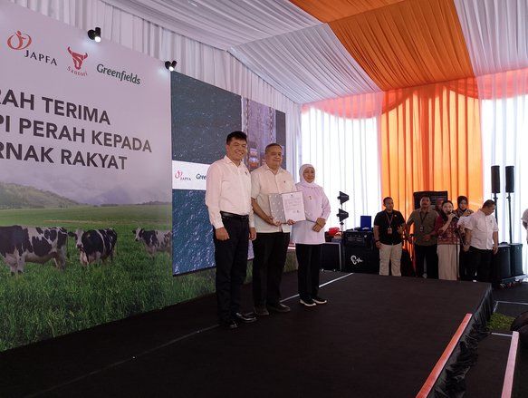 Tingkatkan Produksi Susu, Indonesia Datangkan 1.080 Ekor Sapi Perah Bunting dari Australia