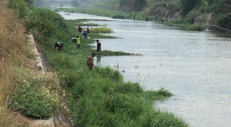 Dam Dibuka, Warga Berebut Ikan Munggut di Aliran Sungai Sadar Mojokerto