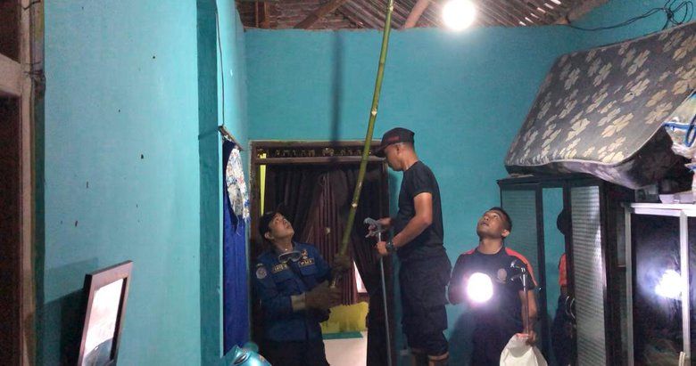 Damkar Mojokerto Evakuasi Ular Kobra di Atap Rumah Warga