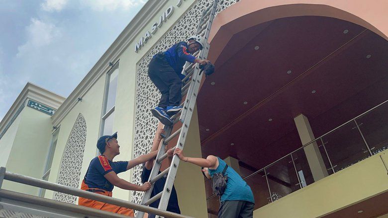 Perjuangan Damkar Evakuasi Kucing Liar Terjebak di Ketinggian Ornamen Masjid  