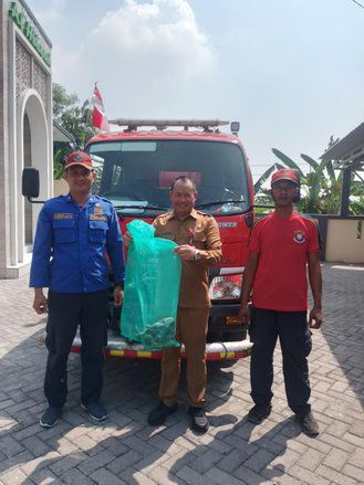 Damkar Mojokerto Evakuasi Dua Ekor Burung Hantu dari Atap Rumah Warga