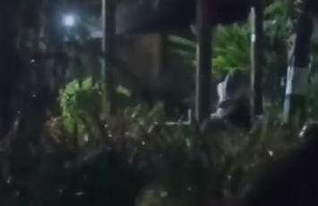 Viral Video Sejoli Berpelukan di Taman Lalu Lintas Mojosari