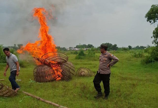 Polisi Mojokerto Gerebek Lokasi Sabung Ayam di Kutorejo, Pejudi Kabur