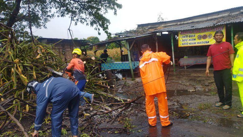 Nekat Menerobos Hujan Deras, Remaja di Mojokerto Tertimpa Pohon  