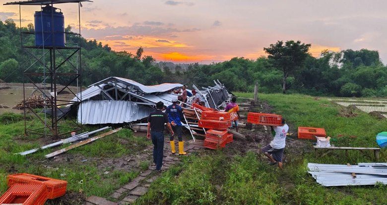 Angin Kencang Robohkan Kandang Ayam Milik Bumdes di Mojokerto