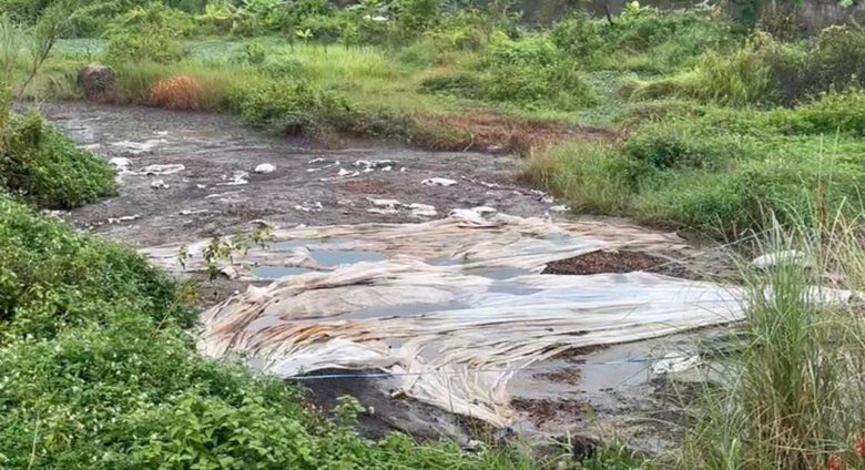 Bau Menyengat di Lahan Bekas Galian C Meresahkan Warga Kutorejo Mojokerto