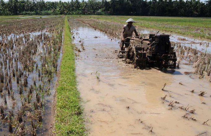 Petani di Sampang Sulit Mendapatkan Pupuk Bersubsidi