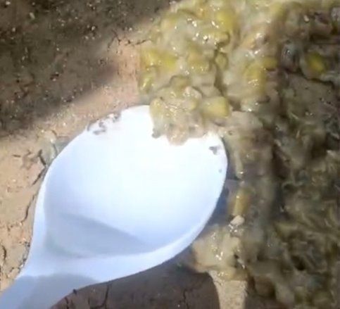 Viral Dugaan Menu MBG Berbelatung di Sampang, SPPG Buka Suara