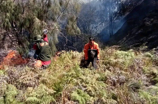 BPBD Kabupaten Probolinggo bersama TN BTS dan Masyarakat Padamkan Kebakaran Gunung Batok