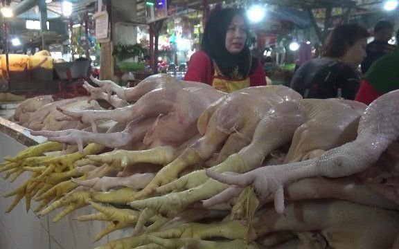 Jelang Puasa, Harga Daging Ayam Potong di Pasar Jember Naik
