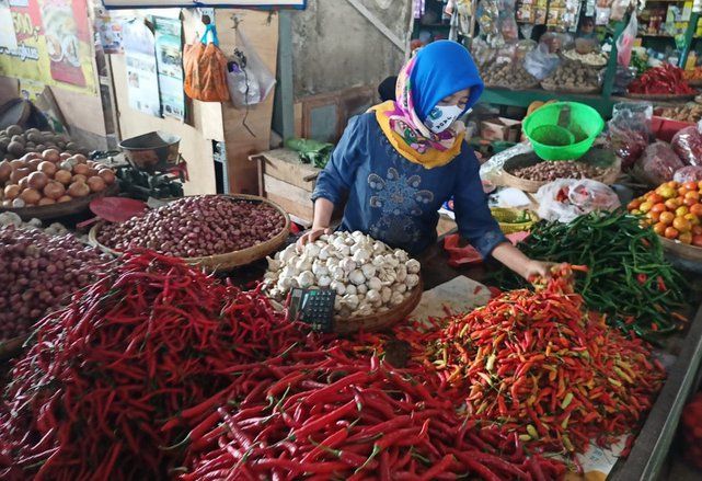 Sentra Produksi Cabai Mulai Panen, Harga Cabai Diprediksi akan Stabil