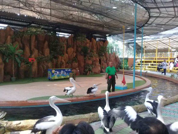 Libur Lebaran, KBS Diserbu Puluhan Ribu Wisatawan