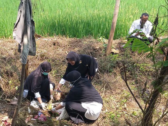 Domba-Domba di Probolinggo Mati Mendadak, Ini Dugaan Penyebabnya