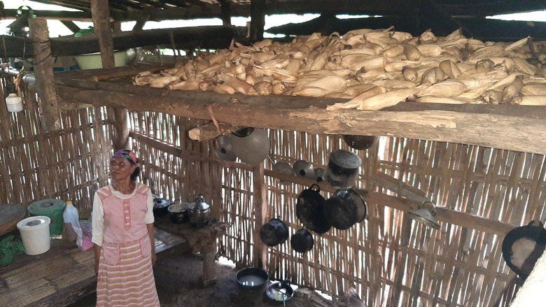 Lumbung Jagung Warga Banyuwangi Jadi Stok Tambahan Pangan Selama Pandemi  