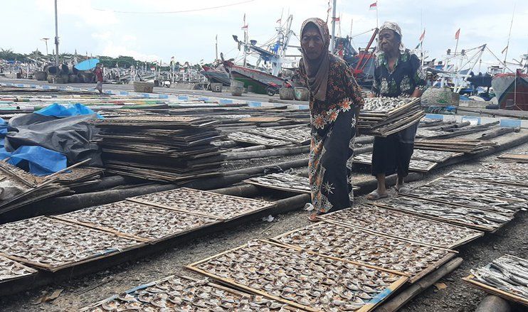 Produsen Ikan Asin Muncar Banyuwangi Keluhkan Rendahnya Harga Jual Ikan
 