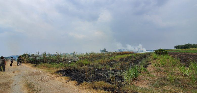 Bakar Lahan Tebu, Petani di Mojokerto Tewas Terpanggang