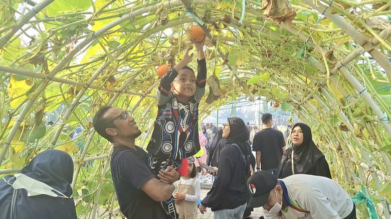 Serunya Panen Sayur dan Petik Buah Segar di Petro Agrifood Expo