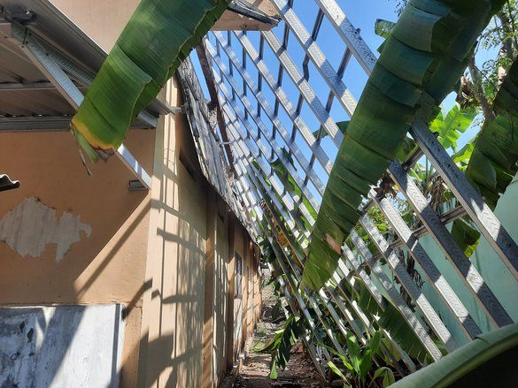 Atap SDN 1 di Bogorejo Tuban Roboh, Begini Kondisinya