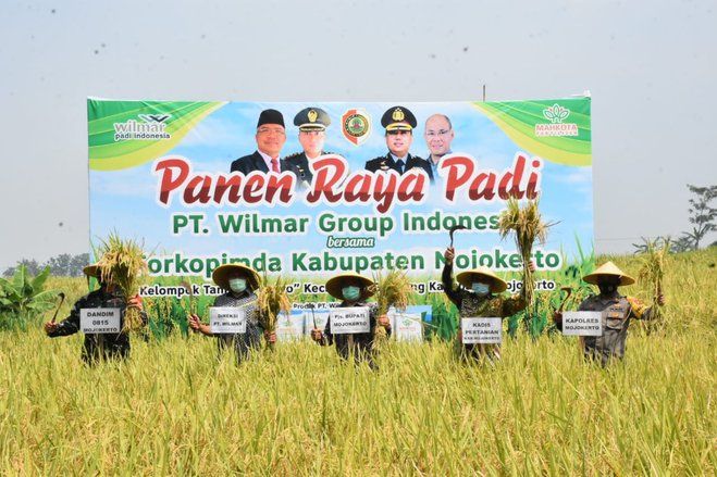 Panen Raya Sistem Demplot Pemkab Mojokerto dengan PT Wilmar Group Indonesia