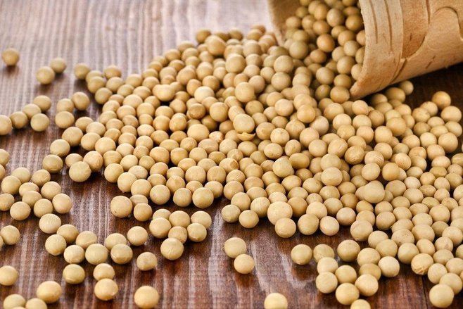Stok Kedelai di Jatim Defisit 39 Ribu Ton