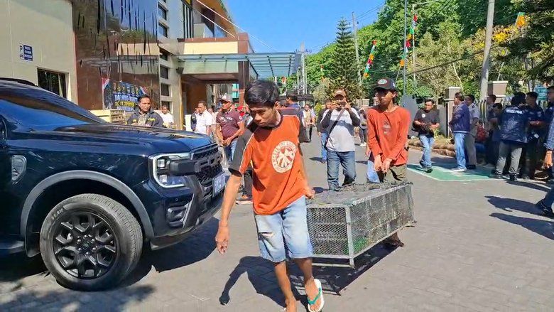 Dua WNA Vietnam Jadi Tersangka Penyelundupan Ribuan Burung ke Indonesia