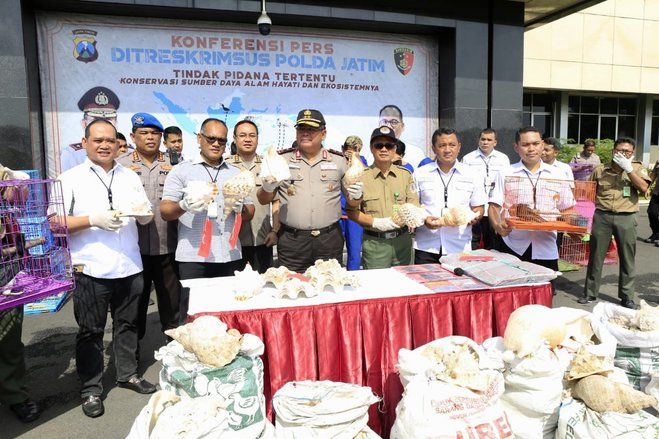 Polda Jatim Ungkap Perdagangan Online Satwa Langka dan Biota Laut