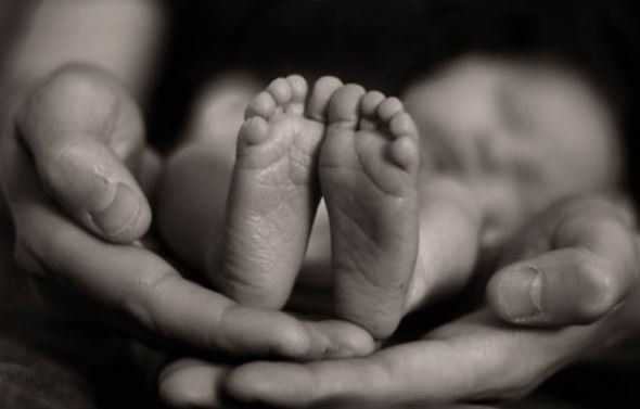 Penemuan Bayi di Semak-semak Belakang Rumah Warga Lamongan Kini Jadi Rebutan Banyak Orang