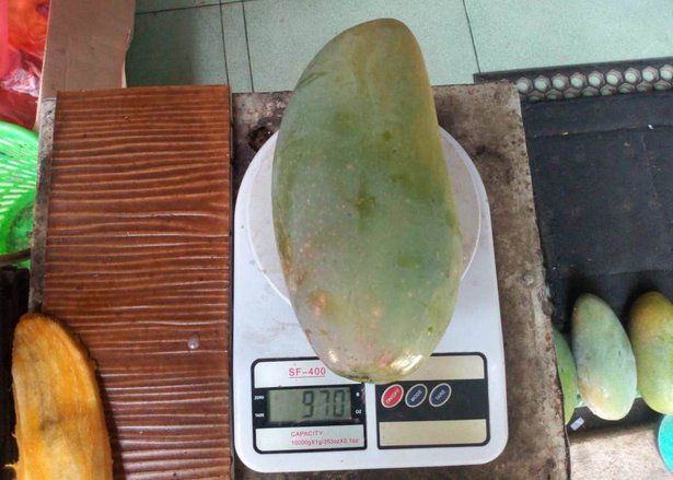 Mangga Sumbang Deflasi Bulan Ini
