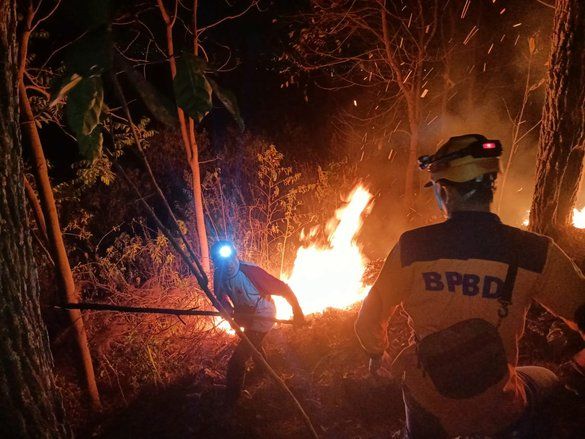 Bukit Trenggilis Kota Batu Terbakar