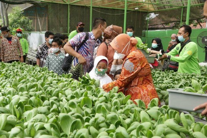 9 Hutan Kota di Surabaya Akan Dibuka untuk Liburan Akhir Tahun