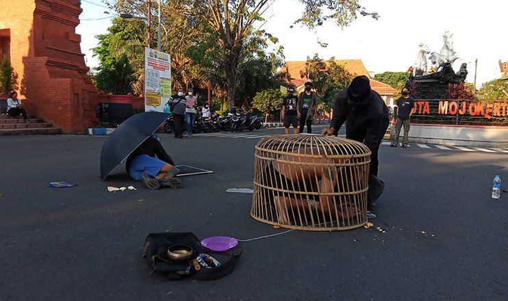 Tolak Perpanjang PPKM, Komunitas Project Anget Gelar Aksi Teatrikal "Kandang Ayam" di Mojokerto
