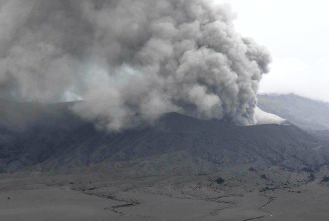 Semburan Abu Vulkanik Bromo Ganggu Ekosistem Satwa Liar