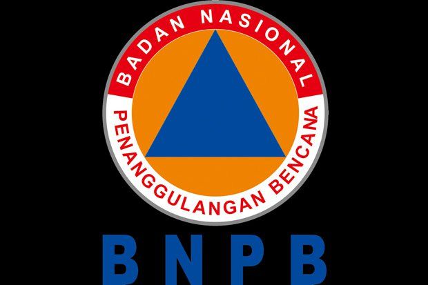 Presiden Joko Widodo Tunjuk Doni Monardo Jadi Kepala BNPB